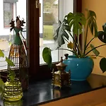 Sur La Rive Vierre Suxy