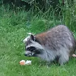 Sur La Rive Vierre Casa de Férias