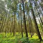 Casa de Férias Sur La Rive Vierre
