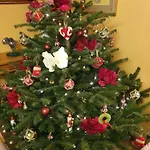 Sur La Rive Vierre * Suxy