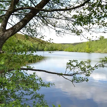 Semesterbostad Sur La Rive Vierre