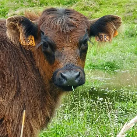 Sur La Rive Vierre * Suxy