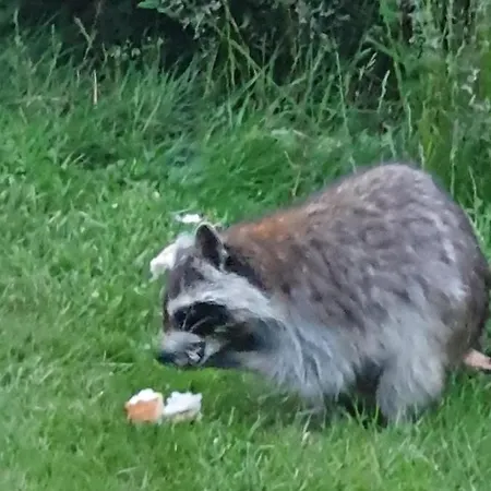 Sur La Rive Vierre 別荘