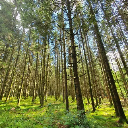 Σπίτι διακοπών Sur La Rive Vierre