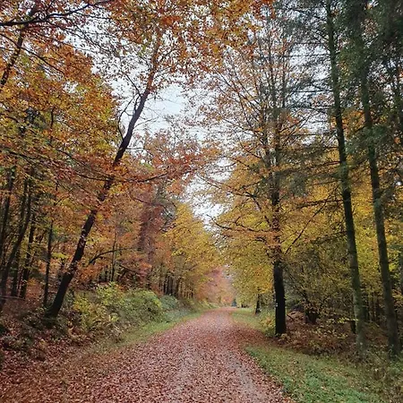 別荘 Sur La Rive Vierre