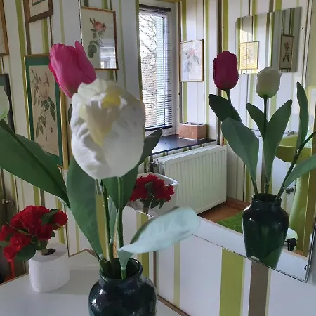 Semesterbostad Sur La Rive Vierre *