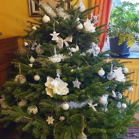 Sur La Rive Vierre Prázdninový dům