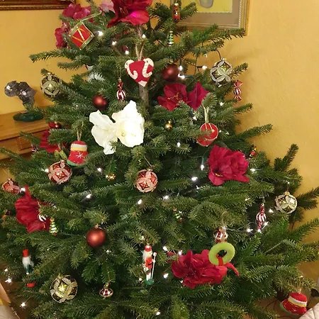 Sur La Rive Vierre * Suxy