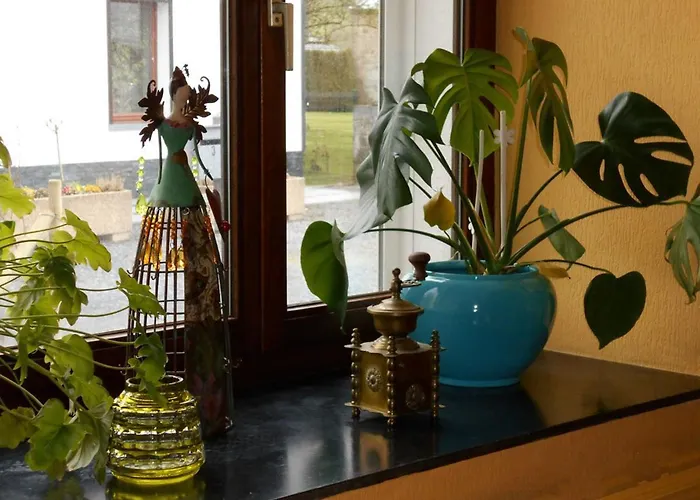 Sur La Rive Vierre Suxy