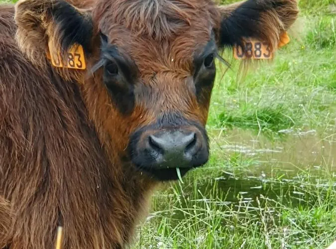 Sur La Rive Vierre * Suxy