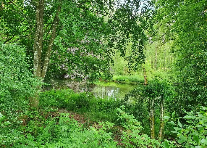 Sur La Rive Vierre Ferienhaus *