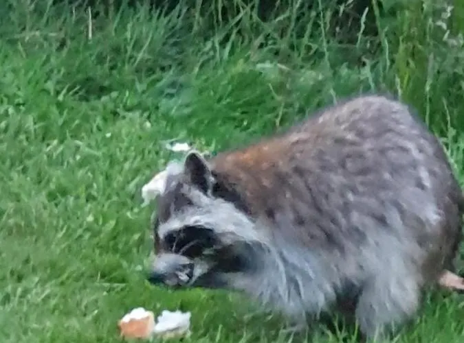 Sur La Rive Vierre Ferienhaus