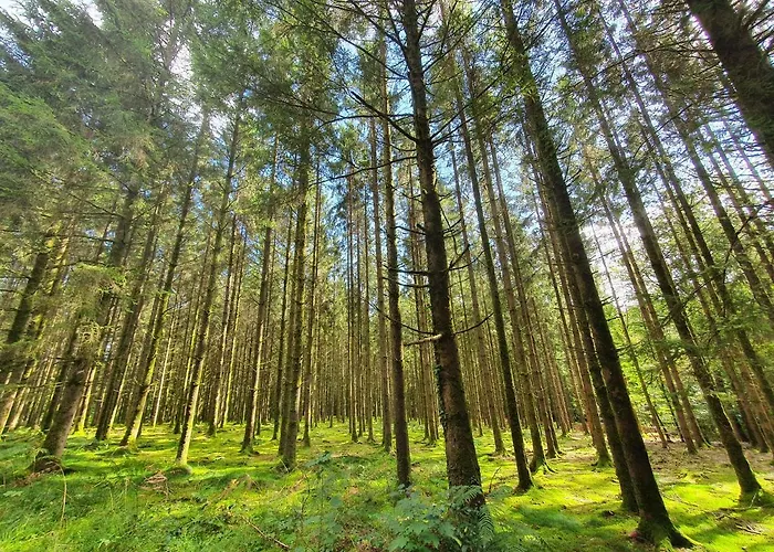 Ferienhaus Sur La Rive Vierre