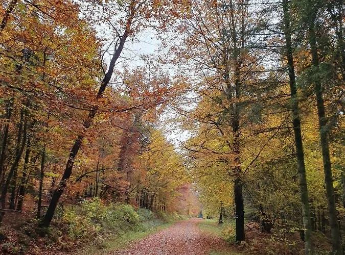 Vakantiehuis Sur La Rive Vierre