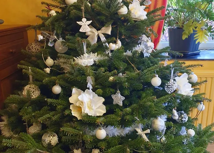 Sur La Rive Vierre Ferienhaus