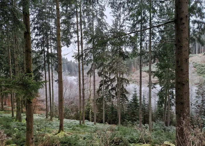 Sur La Rive Vierre Ferienhaus Suxy