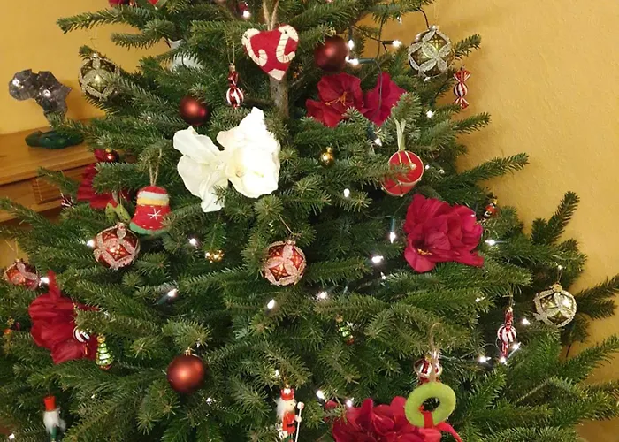 Sur La Rive Vierre * Suxy